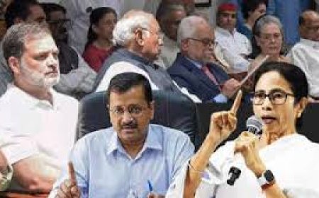 उपराष्ट्रपति चुनाव को लेकर विपक्ष के क्रॉस-वोटिंग पर जबरदस्त सिर फुटव्वल