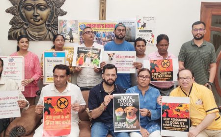 आगरा के पशु प्रेमी बोले- क्रूरता करने वालों पर कार्रवाई और सुरक्षा बिना नहीं बनेंगे फीडिंग प्वाइंट