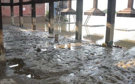 यमुना में जमा गाद और मलबे से बढ़ा खतरा, रिवर कनेक्ट कैंपेन ने मांगी तत्काल सफाई व ड्रेजिंग