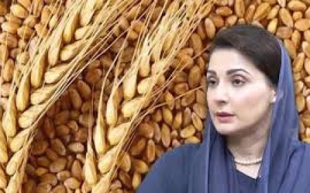 पाक के पंजाब ने गेंहूं की सप्लाई रोकी, अन्य प्रांतों में आटे को लेकर हाहाकार