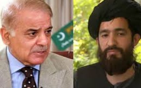 तालिबान ने पाक को फटकारा, बोला- संभल कर बयान दें पाक नेता