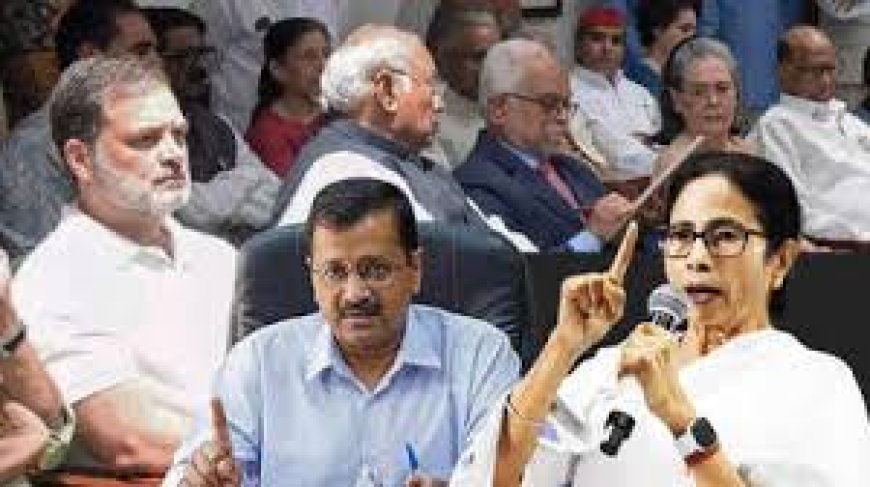 उपराष्ट्रपति चुनाव को लेकर विपक्ष के क्रॉस-वोटिंग पर जबरदस्त सिर फुटव्वल