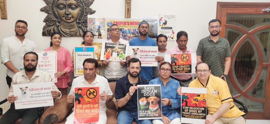 आगरा के पशु प्रेमी बोले- क्रूरता करने वालों पर कार्रवाई और सुरक्षा बिना नहीं बनेंगे फीडिंग प्वाइंट