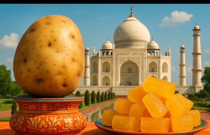 शैतान का सेब से ‘किंग ऑफ वेजिटेबल्स’ तक: आगरा के सुनहरे आलू तक का सफर