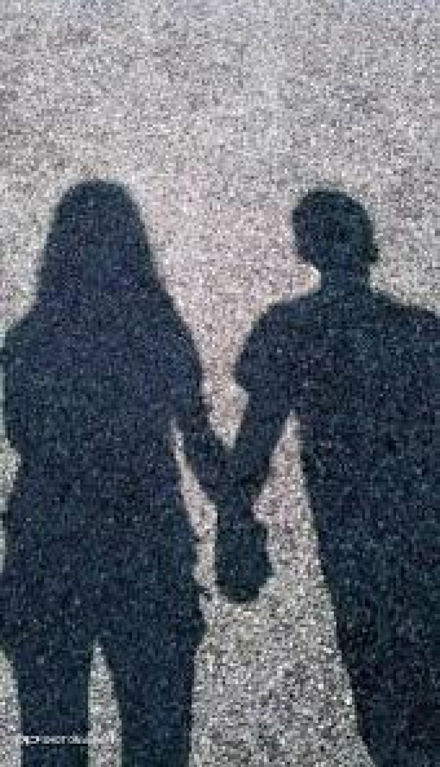 इश्कबाजी में नहले पर दहला: जीजा साली भागे तो साला अपने जीजा की बहन को ले उड़ा