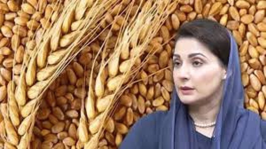 पाक के पंजाब ने गेंहूं की सप्लाई रोकी, अन्य प्रांतों में आटे को लेकर हाहाकार