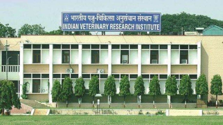 आईवीआरआई बरेली में देश-विदेश के डॊक्टर पशु शल्य चिकित्सा की नई तकनीकें सीख रहे