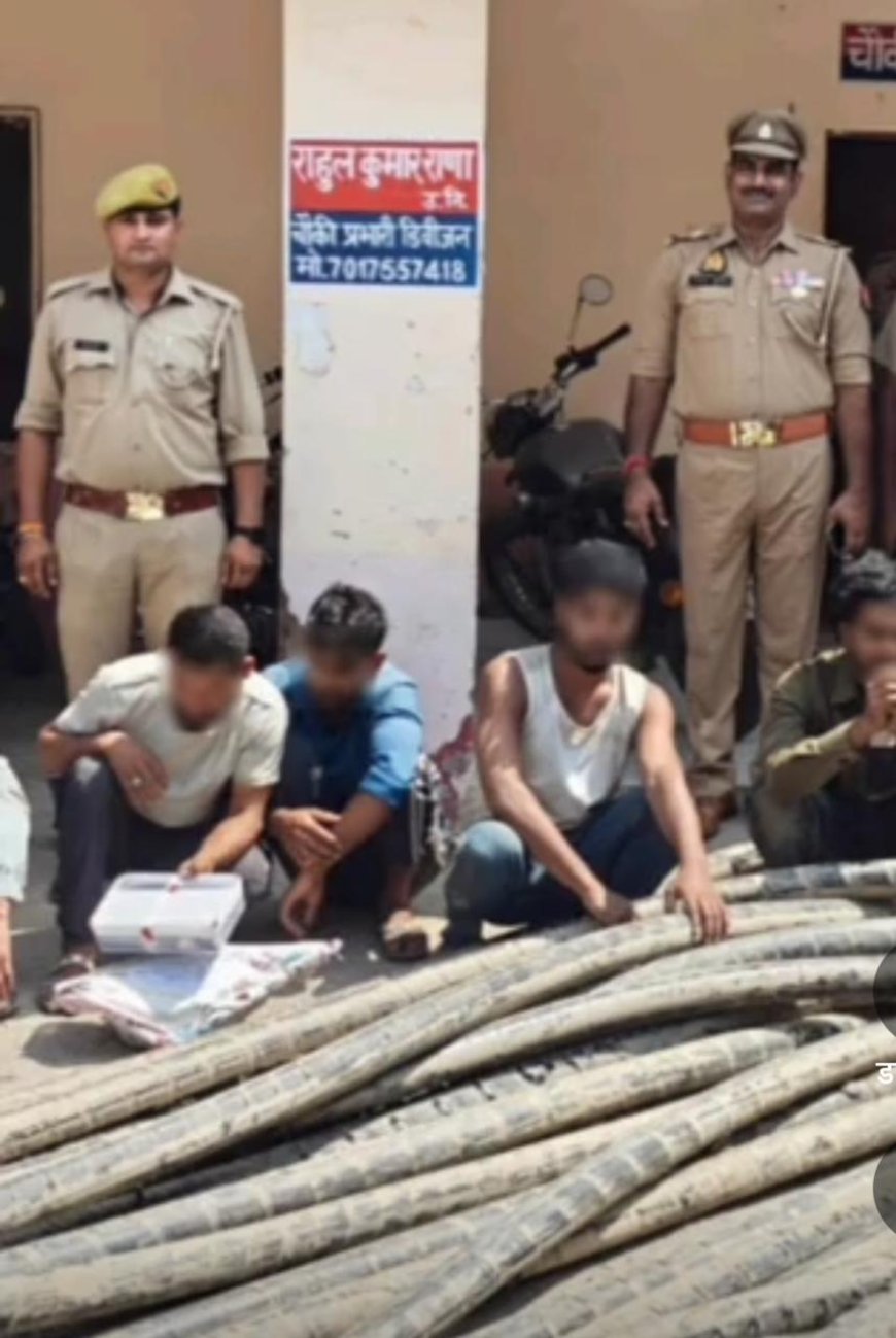 आगरा में बीएसएनएल ठेकेदार ने ही 15 लाख की कॉपर केबल आठ आरोपियों से चोरी कराई थी