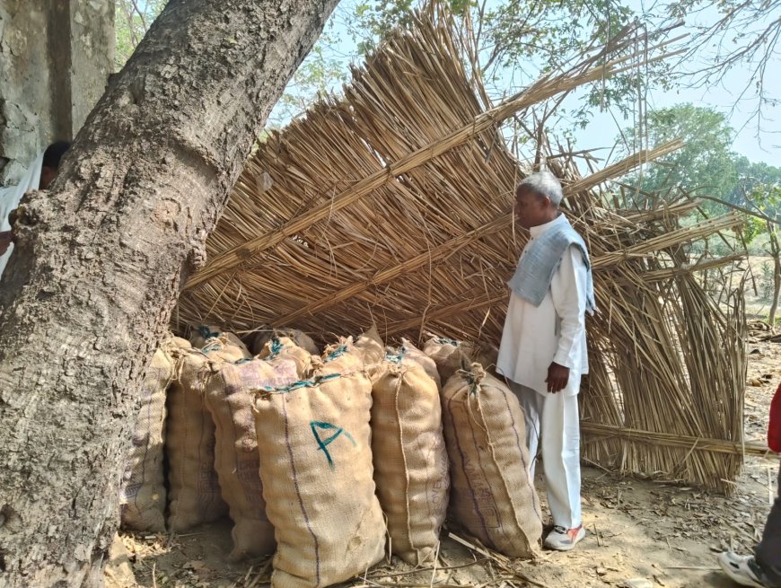 आगरा आलू सीड घोटाले का पर्दाफाश, जांच में उपनिदेशक दोषी मिले