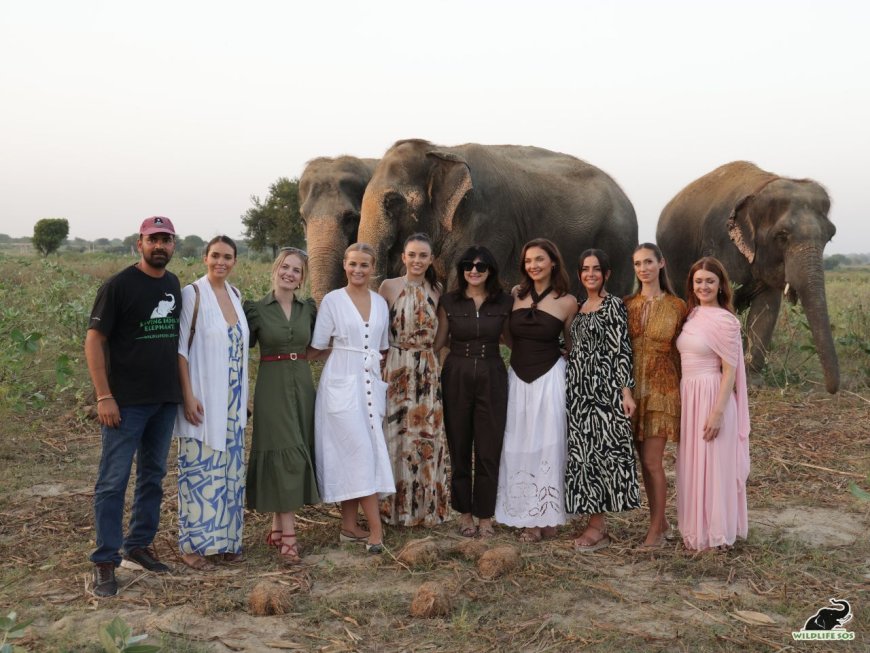 मिस यूनिवर्स ग्रेट ब्रिटेन  ने मथुरा में हाथी संरक्षण केंद्र का दौरा कर बढ़ाई वैश्विक जागरूकता