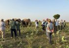देश में पहली बार ग्लोबल एलिफेंट मास्टरक्लास, वाइल्डलाइफ एसओएस ने दी हाथियों की देखभाल की नई दिशा