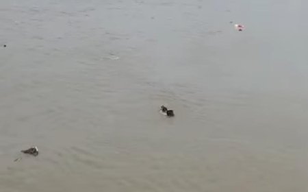 एक ही दिन में यमुना और उटंगन ने निगले आठ युवक, खेरागढ़ के बाद ताजगंज में हादसा