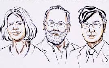 चिकित्सा क्षेत्र का नोबेल मैरी ब्रुनको, फ्रेड रामस्डेल और शिमोन सकागुची को