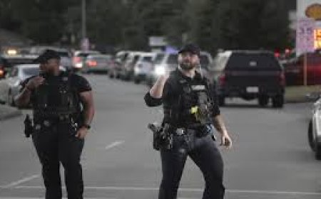 अमेरिका में भीड़ पर गोलीबारी, 4 की मौत