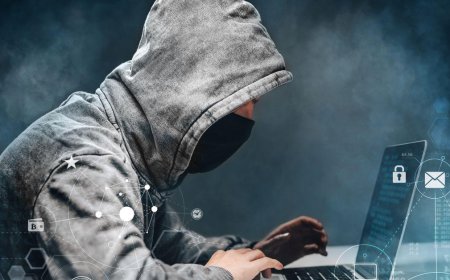 आगरा में केंद्रीय हिंदी संस्थान के डायरेक्टर से 3 लाख की साइबर ठगी