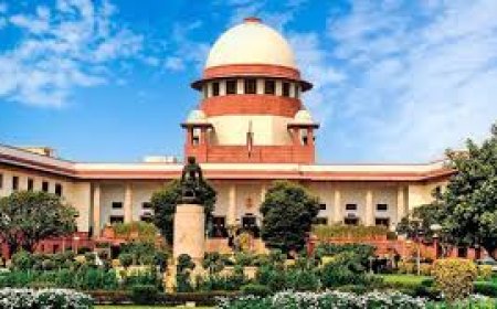 तमिलनाडु की एक याचिका पर सुप्रीम कोर्ट ने कहा-हम राष्ट्रपति को निर्देश नहीं दे सकते