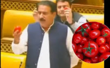 पाक महंगाई छू रही आसमान, एक टमाटर की कीमत 75 रुपये तक