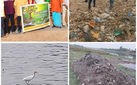 चार दिनों की चांदनी, फिर घोर अंधेरी रात! कौन सुने यमुना की करुण पुकार?