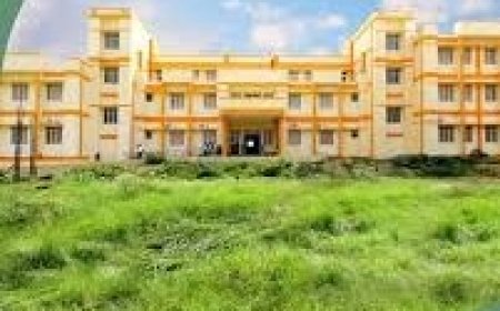 वृंदावन में रंगों में घुलेगी श्रीकृष्ण लीलाएं, गीता शोध संस्थान में राष्ट्रीय चित्रांकन शिविर कल से