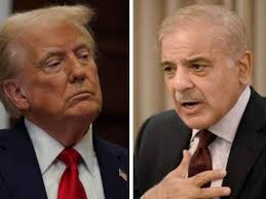 पाक ने मारी पलटी, गाजा को लेकर ट्रंप प्लान को मुस्लिम देशों की योजना से अलग कहा