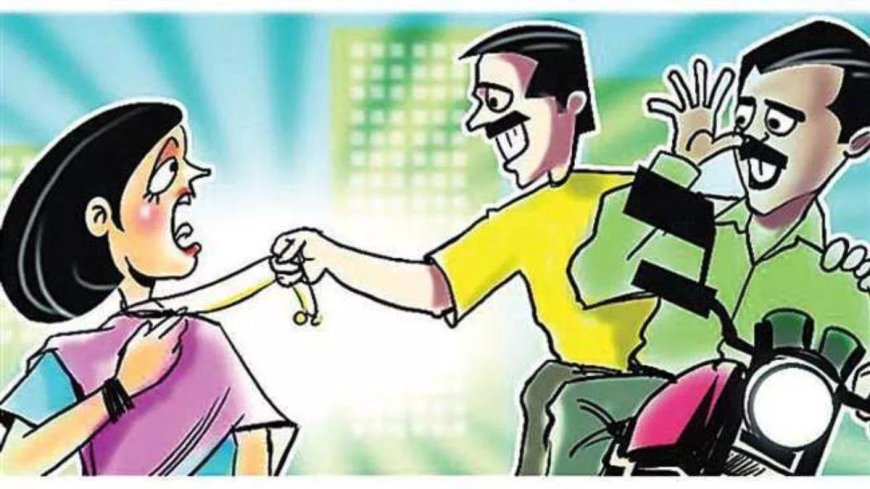 आगरा के पालीवाल पार्क में महिला शिक्षक के गले से चेन झपटकर बाइक सवार साथी संग फरार