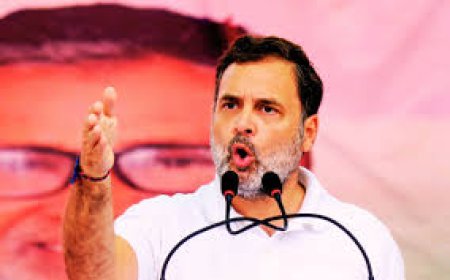 राहुल गांधी बोले-  भारत के सवर्ण कर रहे पूरी व्यवस्था पर कब्जा
