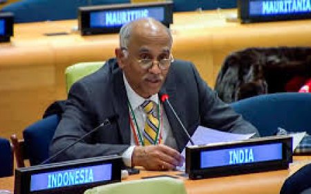 सुरक्षा परिषद में भारत की हुंकार, जारी है सीमापार से आतंकवाद