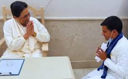 बिहार के इकलौते बसपा विधायक सतीश यादव ने की मायावती से मुलाकात, जताया आभार