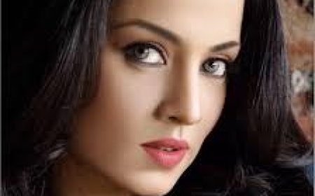 घरेलू हिंसा से तंग आकर सेलिना जेटली आस्ट्रिया से भारत लौटीं, कोर्ट में केस कर पति से 50 करोड़ मुआवजा, दस लाख मासिक और बच्चों की कस्टडी मांगी