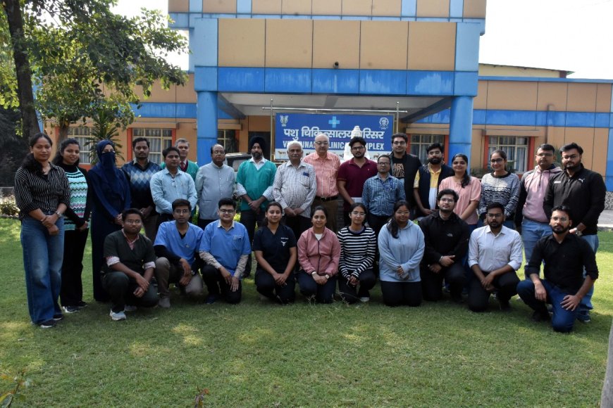 आईवीआरआई में शुरू हुआ हृदय रोग विज्ञान प्रशिक्षण, पशु चिकित्सक सीख रहे उपचार का हुनर