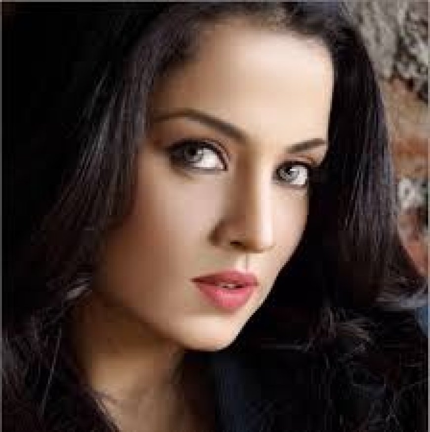 घरेलू हिंसा से तंग आकर सेलिना जेटली आस्ट्रिया से भारत लौटीं, कोर्ट में केस कर पति से 50 करोड़ मुआवजा, दस लाख मासिक और बच्चों की कस्टडी मांगी