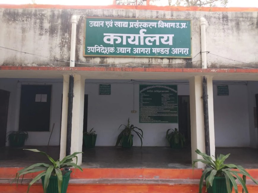 आगरा के उप निदेशक उद्यान धर्मपाल यादव के निलंबन पर हाईकोर्ट का स्टे, जांच प्रक्रिया जारी रहेगी