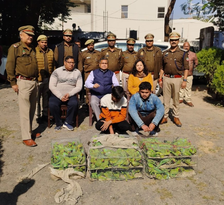 बरेली में दो वन्यजीव तस्कर गिरफ्तार 300 जीवित तोते बरामद, आरोपी इन पक्षियों को दिल्ली में बेचा करते थे