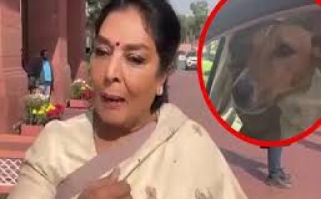 संसद में कुत्ता लेकर पहुंचीं रेणुका चौधरी तो मचा बवाल, बीजेपी नेताओं ने कहा- तमाशा बंद कीजिए