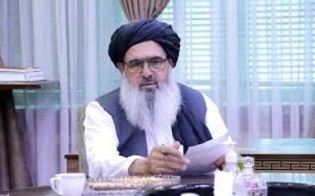 अफगान स्वास्थ्य मंत्री का भारत दौरा 17 को संभव, दवा आयात पर समझौते की उम्मीद, पाक को झटका