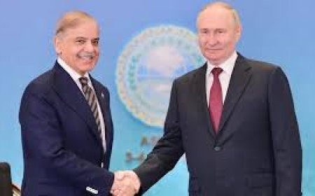 पुतिन ने शहबाज शरीफ को 40 मिनट इंतजार कराने के बाद किया मिलने से इनकार