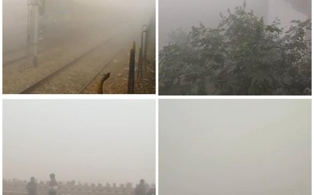 ताजनगरी आगरा में कोहरे का पहला कहर, घने धुंध में गायब ताजमहल, दिन में रात जैसे हालात