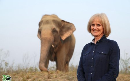 इंटरनेशनल स्टेज निर्देशक कैरोलिन क्लेग ने वाइल्डलाइफ एसओएस के साथ जुड़कर वन्यजीव संरक्षण को दिया वैश्विक संदेश