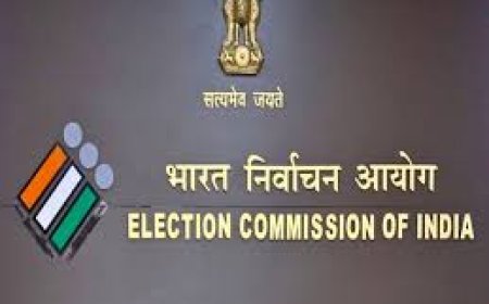 तमिलनाडु में एक करोड़, गुजरात में 74 लाख वोटर्स के नाम कटे, एसआईआर के बाद ड्राफ्ट वोटर लिस्ट जारी