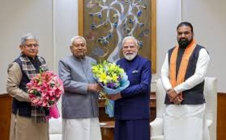 नीतीश-मोदी की भेंट में कैबिनेट विस्तार, राज्यसभा और एमएलसी चुनाव पर चर्चा