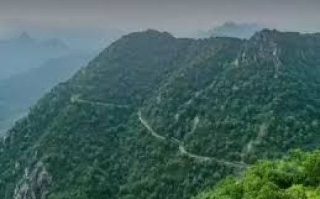 केंद्र का बड़ा फैसला, अरावली में नई माइनिंग लीज पर पूरी तरह से रोक