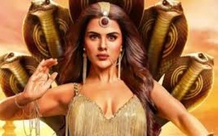 प्रियंका चाहर का प्लास्टिक सर्जरी पर गोलमोल जवाब- ये मेरा हक