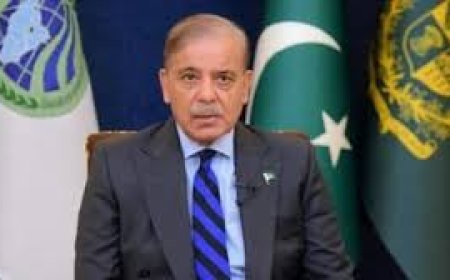 बड़ी संख्या में पढ़े-लिखे पेशेवरों के पलायन से पाकिस्तान में संकट, शहबाज सरकार ने हवाईअड्डो पर की सख्ती