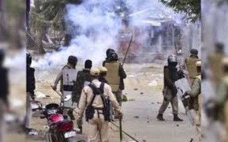 असम के कार्बी आंगलोंग में हिंसा,  173 सुरक्षाकर्मी घायल