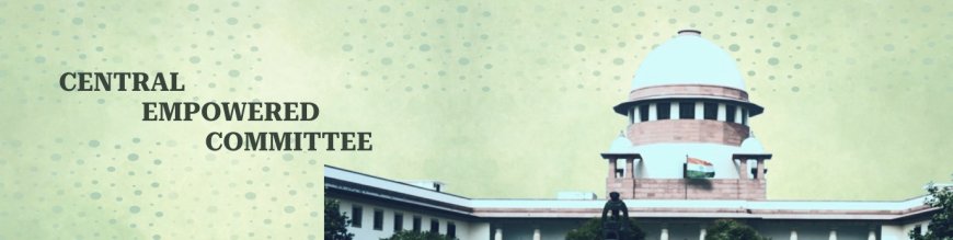 आगरा मेट्रो पर ‘ग्रीन कट’ सवालों के घेरे में: 800 पेड़ों की बलि का मामला सीईसी में गरमाया, आगरा कॊलेज की जमीन से 41 पेड़ काटे जाने की बात वन विभाग ने मानी, अगली सुनवाई में एडीए वीसी, मेट्रो के प्रोजेक्ट डाइरेक्टर, डीएफओ और आगरा कॊलेज प्रिंसिपल तलब