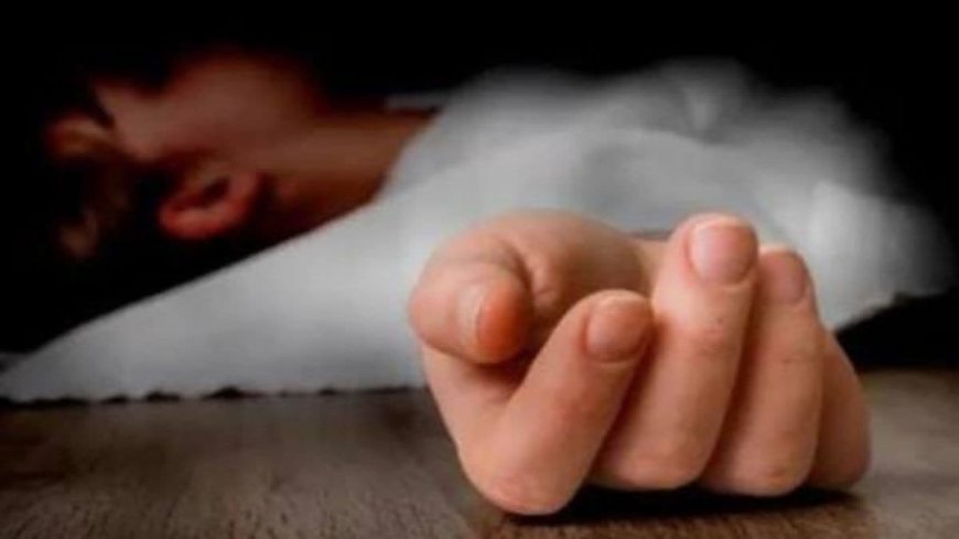 आगरा-लखनऊ एक्सप्रेसवे पर रविवार को हुए भीषण सड़क हादसे में घायल दो और युवकों की मौत