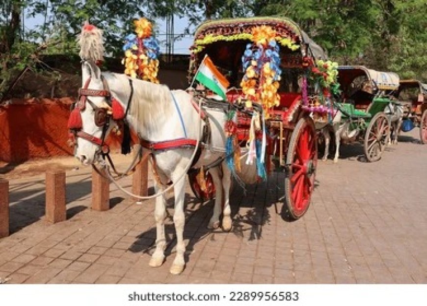 क्या कभी घोड़े की टापें फिर गूंजेंगी: आगरा की तांगा परंपरा को बचाने की पुकार