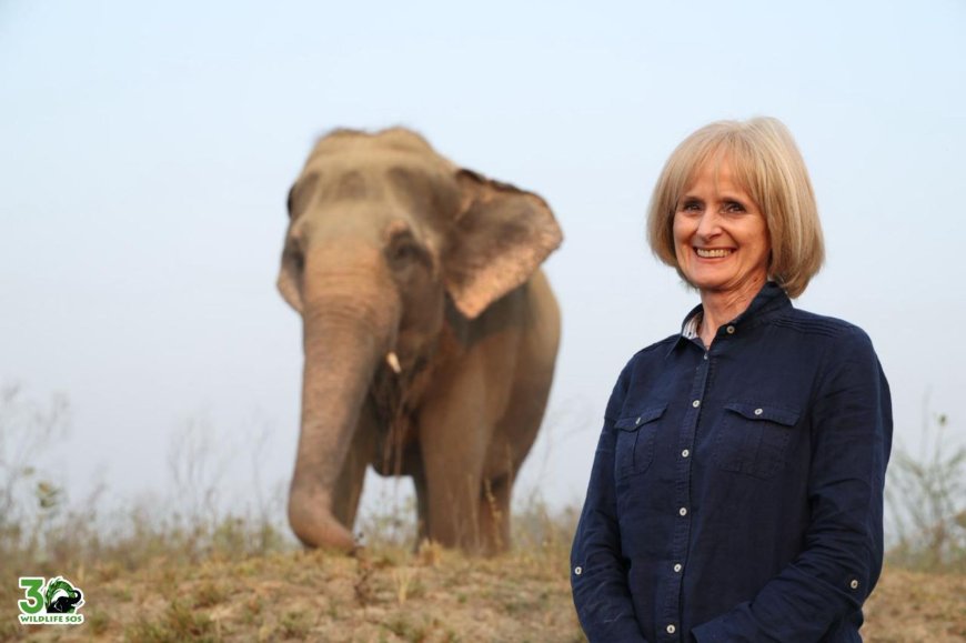 इंटरनेशनल स्टेज निर्देशक कैरोलिन क्लेग ने वाइल्डलाइफ एसओएस के साथ जुड़कर वन्यजीव संरक्षण को दिया वैश्विक संदेश