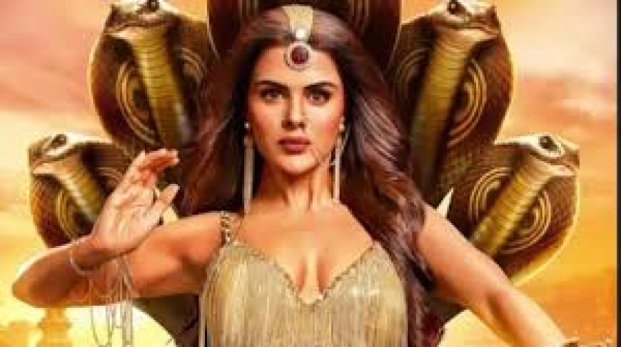 प्रियंका चाहर का प्लास्टिक सर्जरी पर गोलमोल जवाब- ये मेरा हक