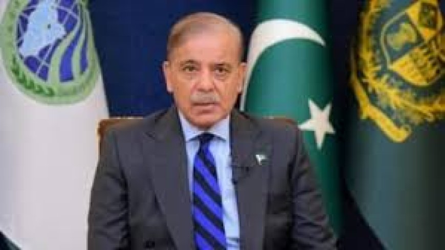 बड़ी संख्या में पढ़े-लिखे पेशेवरों के पलायन से पाकिस्तान में संकट, शहबाज सरकार ने हवाईअड्डो पर की सख्ती